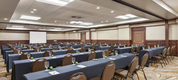 圣塔安那奥兰治县机场希尔顿安泊套房酒店(Embassy Suites by Hilton Santa Ana Orange County Airport)图片