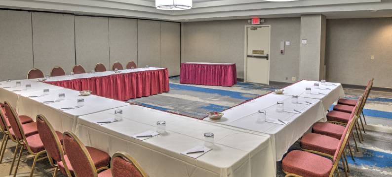 印第安纳波利斯北希尔顿安泊酒店(Embassy Suites by Hilton Indianapolis North)图片