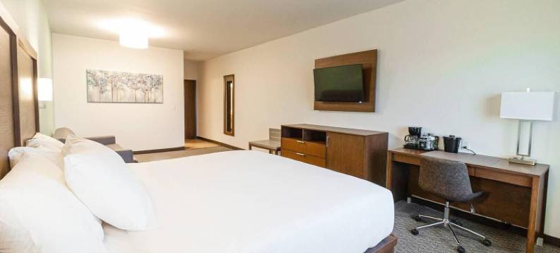 华雷斯城舒适酒店(Comfort Inn Ciudad Juarez)图片