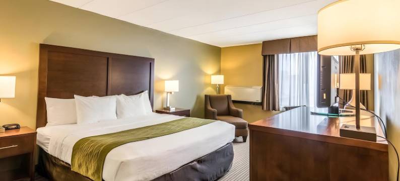 普利茅斯-明尼阿波利斯舒适酒店(Comfort Inn Plymouth-Minneapolis)图片