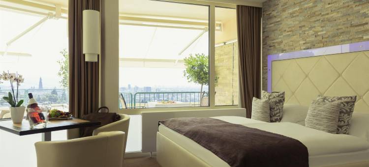 弗赖堡全景美居酒店(Mercure Hotel Panorama Freiburg)图片