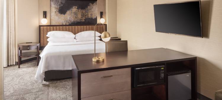 希尔顿安泊酒店-泰森斯角(Embassy Suites by Hilton Tysons Corner)图片