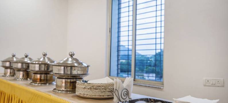 Treebo 绿橄榄(Treebo Green Olive)图片