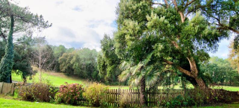 Studio 5 people - Budget图片