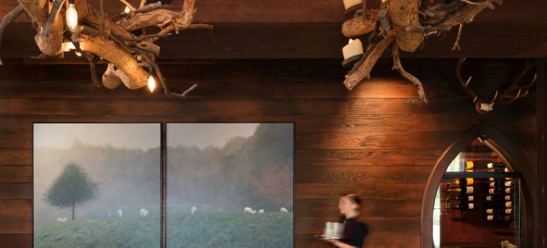 阿什维尔，傲途格精选格兰德博希米亚山林小屋(Grand Bohemian Lodge Asheville, Autograph Collection)图片