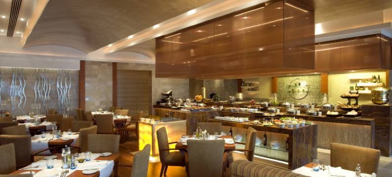 科罗曼德泰姬度假酒店(Taj Coromandel)图片