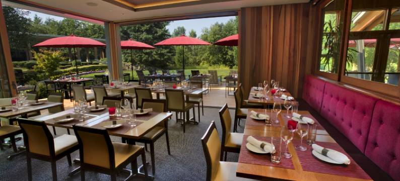 希德布鲁克洛基酒店(Cedarbrook Lodge)图片