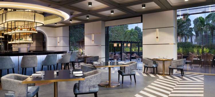 古瓦哈蒂GS路诺富特酒店(Novotel Guwahati GS Road)图片