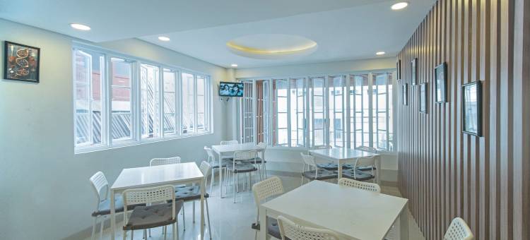 旗舰101苹果白金(Flagship 101 Apple Platinum)图片