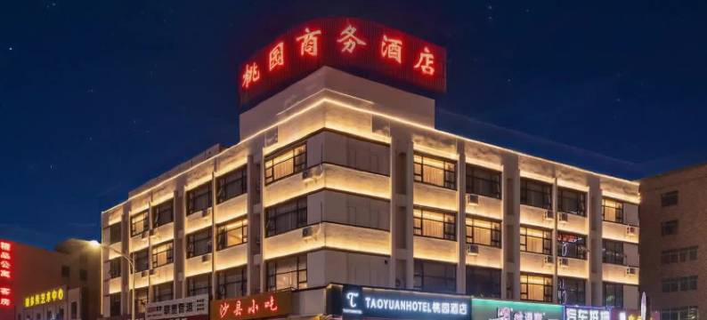 桃园酒店(佛山官窑店)图片