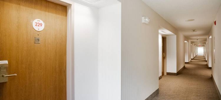 白厅近密西根冒险乐园伊克诺旅馆酒店(Econo Lodge Whitehall Near Michigan's Adventure)图片