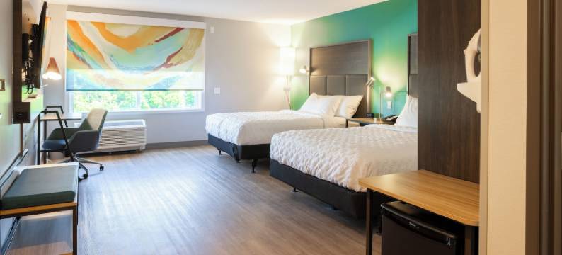 Tru By Hilton 卡拉马祖(Tru by Hilton Kalamazoo)图片