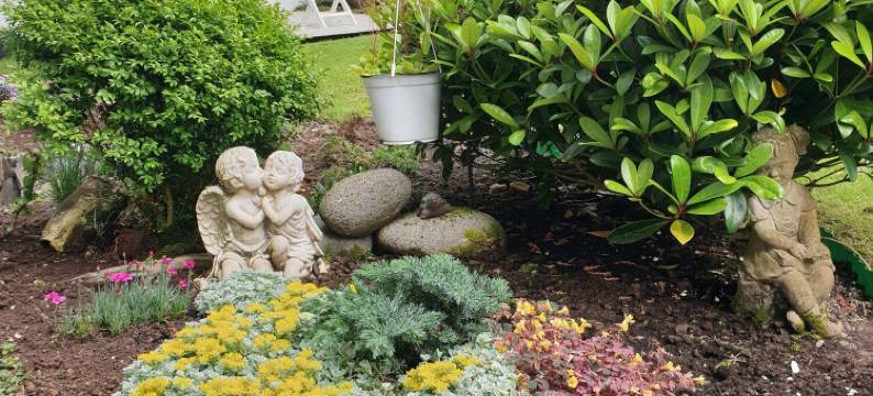 法罗群拜访屋酒店(Visithomes Faroe Islands)图片