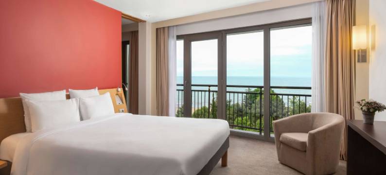 特拉布宗诺富特酒店(Novotel Trabzon)图片