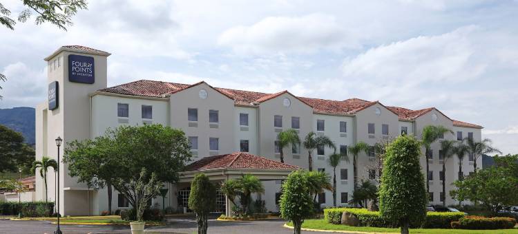 福朋喜来登酒店-圣何塞-哥斯达黎加(Four Points by Sheraton San Jose Costa Rica)图片