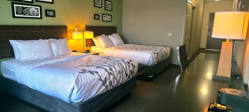 安眠套房酒店(Sleep Inn & Suites)图片