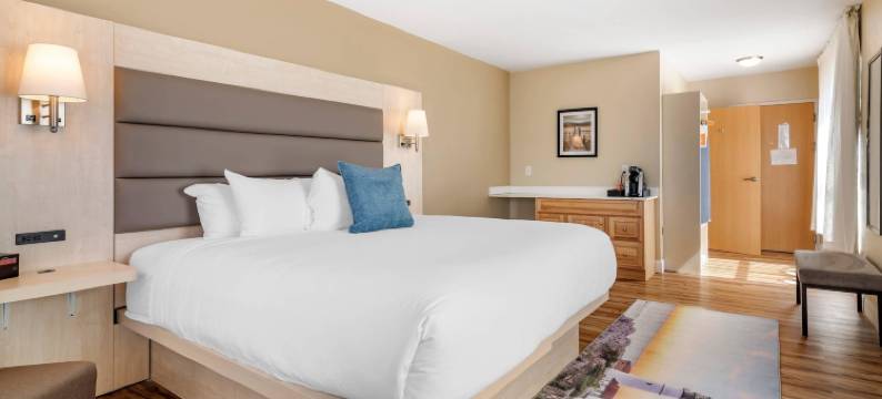 卡斯科湾酒店波特兰机场-缅因购物中心，傲途格精选酒店(Casco Bay Hotel Portland Airport - Maine Mall, Ascend Hotel Collection)图片