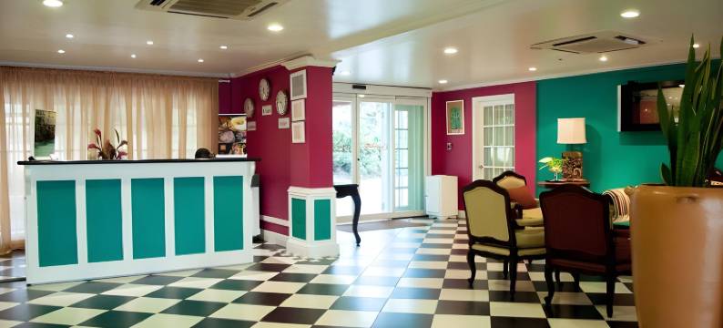 可可棕榈(Coco Palm)图片