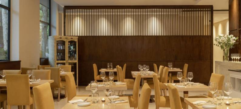 NH科迪勒拉酒店(NH Mendoza Cordillera)图片