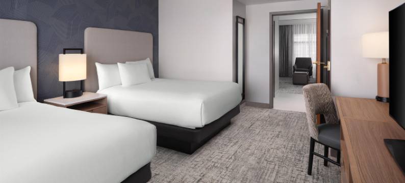 南纳什维尔库尔斯普林斯希尔顿安泊酒店(Embassy Suites by Hilton Nashville South Cool Springs)图片