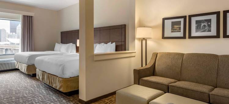匹兹堡北岸舒适套房酒店(Comfort Inn & Suites Pittsburgh-Northshore)图片