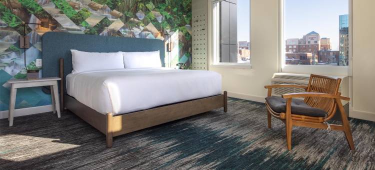帆布蒙古顿酒店，希尔顿启缤精选(Canvas Moncton, Tapestry Collection by Hilton)图片