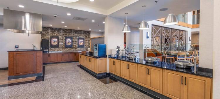 圣路易斯机场德鲁里套房酒店(Drury Inn & Suites St. Louis Airport)图片