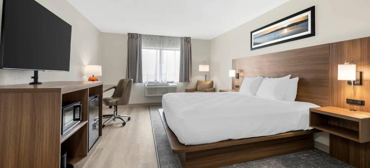 米德兰品质酒店(Quality Inn)图片