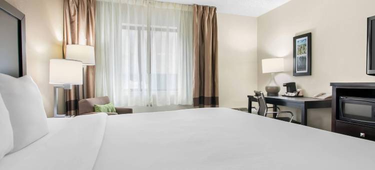 舒适酒店-市中心(Comfort Inn Downtown)图片