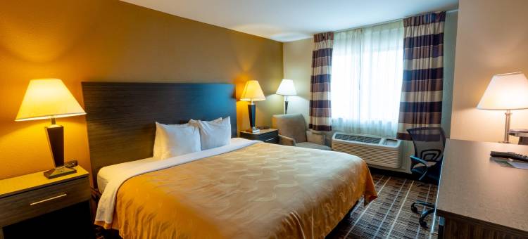DFW机场北凯艺酒店(Quality Inn DFW Airport North)图片