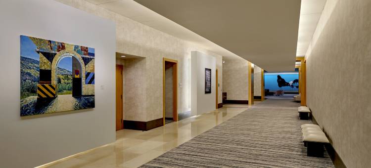 洛伊斯芝加哥奥黑尔酒店(Loews Chicago O'Hare Hotel)图片
