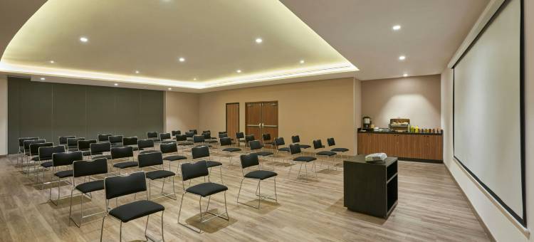 圣路易斯波托西州万豪City Express Plus酒店(City Express Plus by Marriott San Luis Potosí)图片
