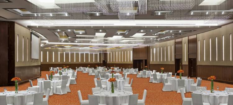 哈伊勒千禧酒店(Millennium Hail Hotel)图片