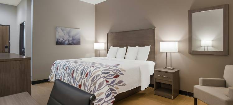 红屋顶旅馆兰开斯特，德克萨斯(Red Roof Inn Lancaster, TX)图片
