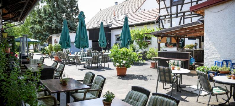 鲍姆霍夫特尼兰德加斯特霍夫酒店(Hotel- Landgasthof Baumhof-Tenne)图片