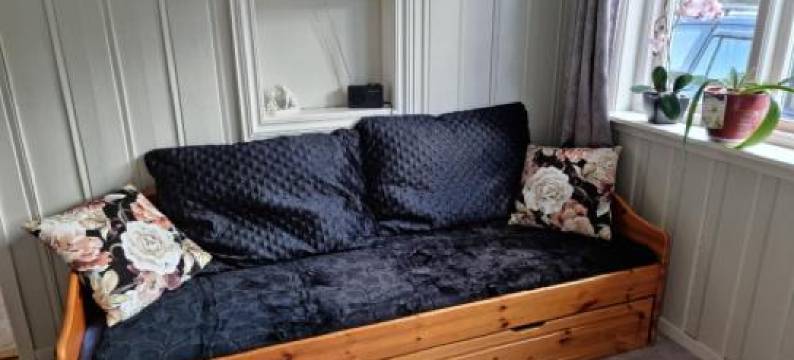 Leilighet I Åmotsdal图片