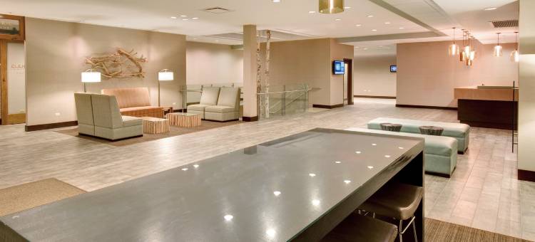 洲际旗下皇冠假日伦巴第唐纳斯格罗夫酒店(Crowne Plaza Lombard Downers Grove)图片