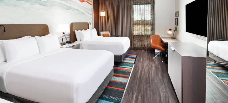 斯普林-伍德兰区英迪格酒店(Hotel Indigo SPRING – WOODLANDS AREA by IHG)图片