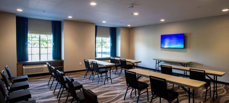 Microtel Inn & Suites by Wyndham Amsterdam图片