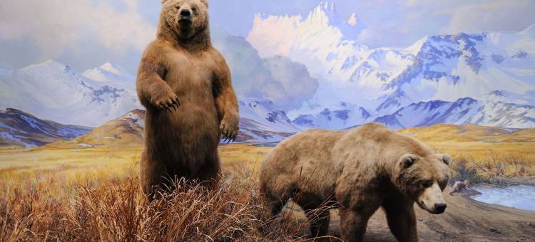 辛辛那提河畔雷迪森酒店(Radisson Hotel Cincinnati Riverfront)图片