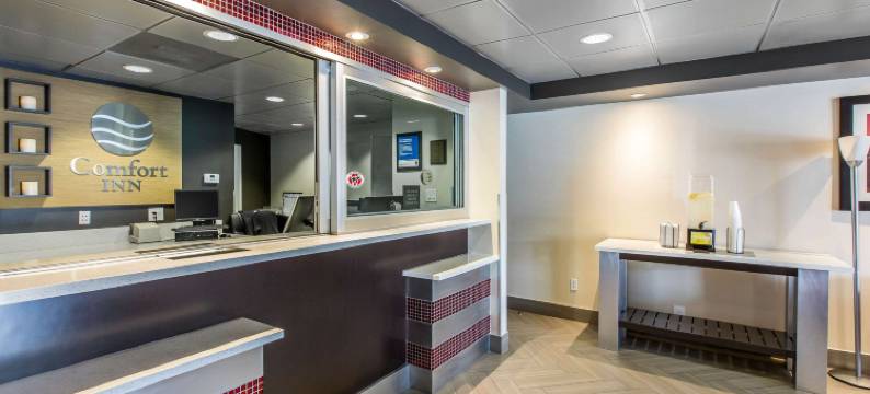 洛杉矶近好莱坞舒适酒店(Comfort Inn Los Angeles near Hollywood)图片