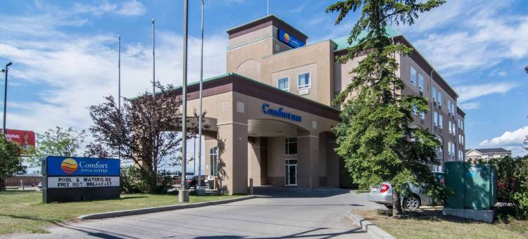 舒适套房酒店南机场店(Comfort Inn & Suites Airport South)图片