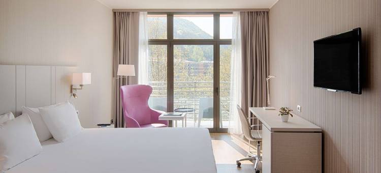 莱科彭特维奇欧NH酒店(NH Lecco Pontevecchio)图片