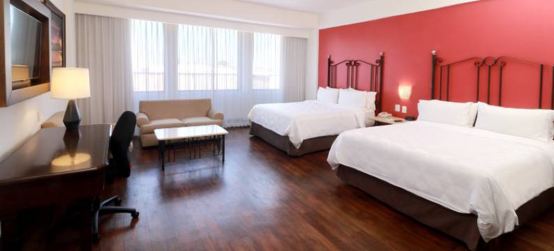 假日酒店及套房瓜达拉哈拉历史中心(Holiday Inn & Suites GUADALAJARA CENTRO HISTORICO by IHG)图片