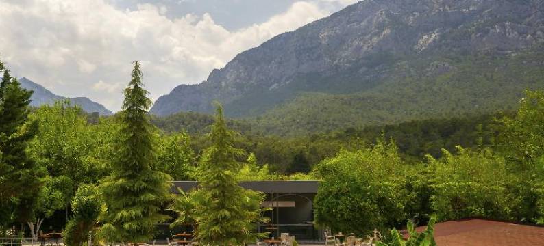 玫瑰度假酒店(Rose Resort Hotel)图片