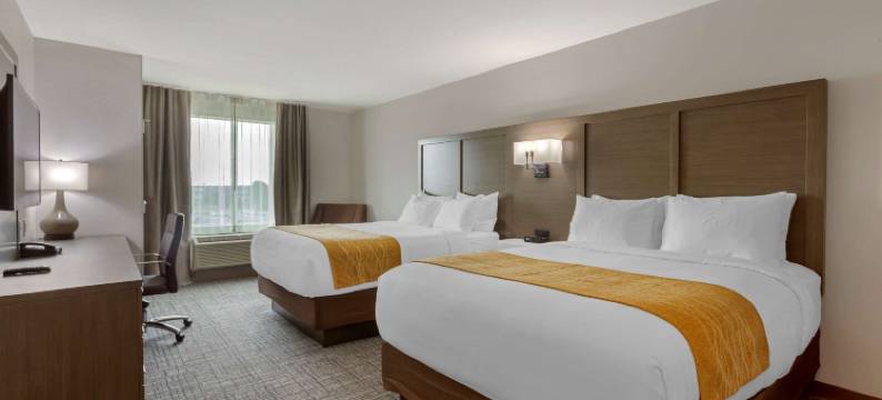 舒适酒店(Comfort Inn Jonesboro)图片