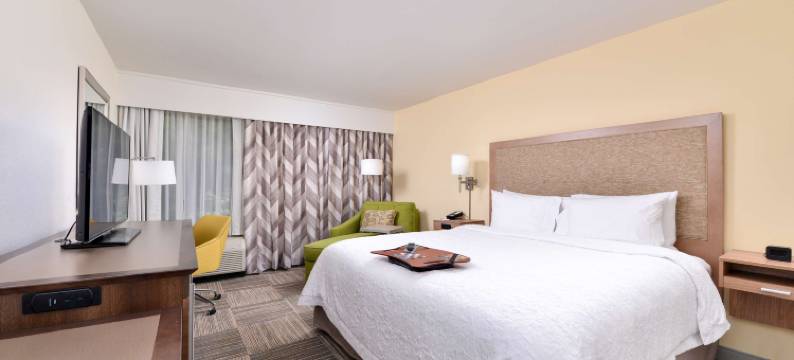 希尔顿欢朋酒店-卡特尔斯维尔(Hampton Inn Cartersville)图片