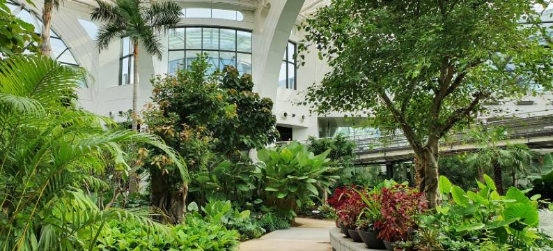 禾谷巧克力酒店(Hwagok Chocolate Hotel)图片