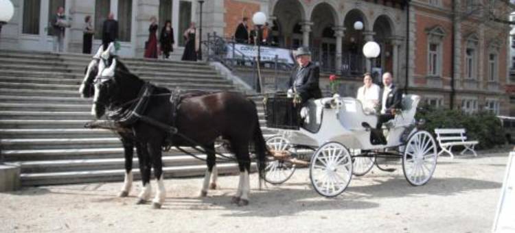 高登安卡酒店(Hotel Goldner Anker)图片
