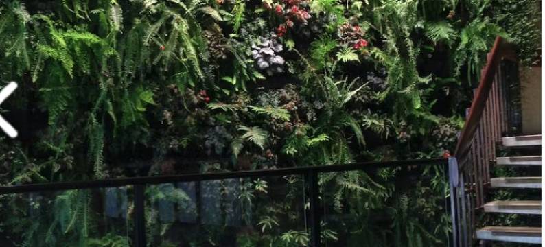 谷中巴拉瑞特酒店(Mid City Ballarat)图片